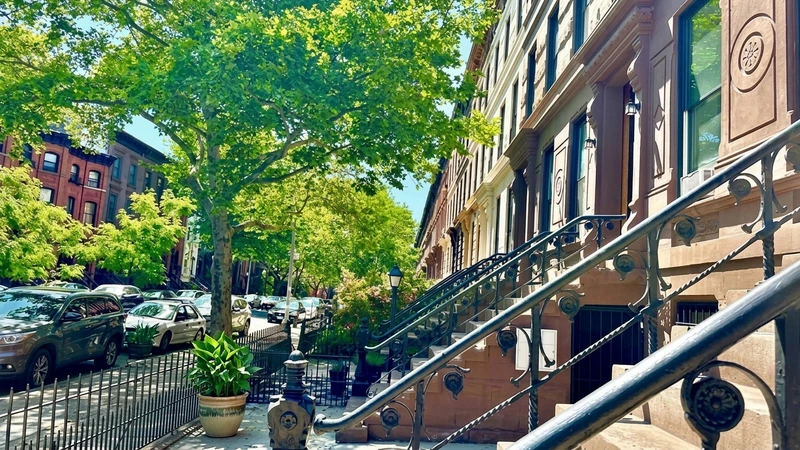 1 bedroom in Stuyvesant Heights photo 9