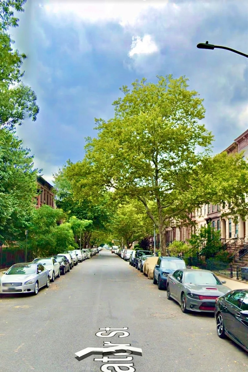 1 bedroom in Stuyvesant Heights photo 13
