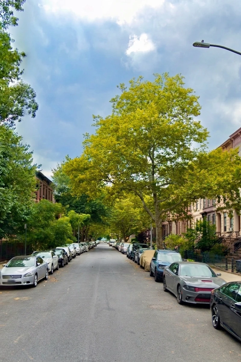 1 bedroom in Stuyvesant Heights photo 13
