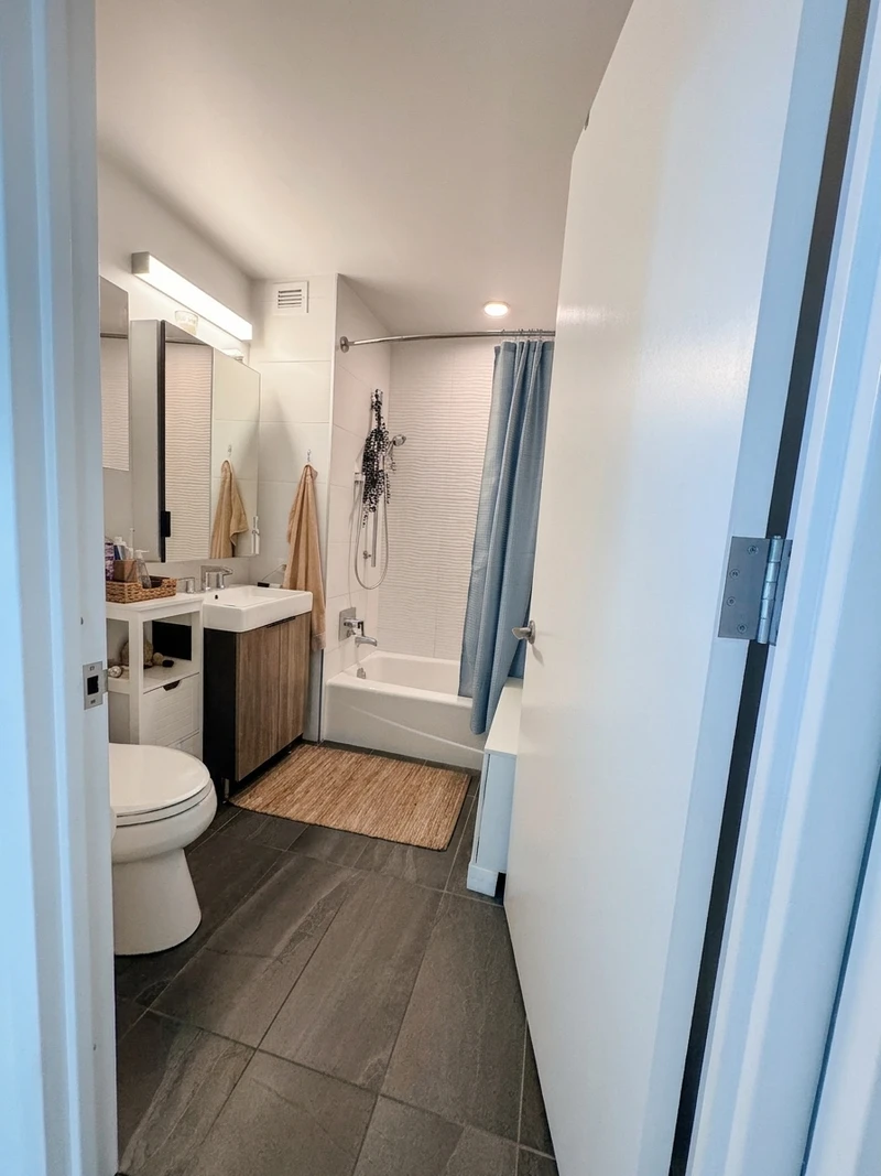 1 bedroom in LIC photo 5