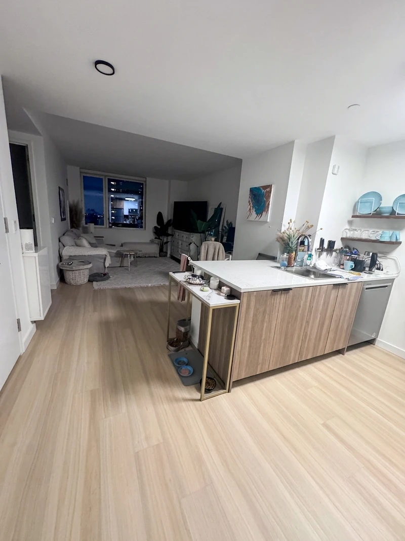 1 bedroom in LIC photo 3