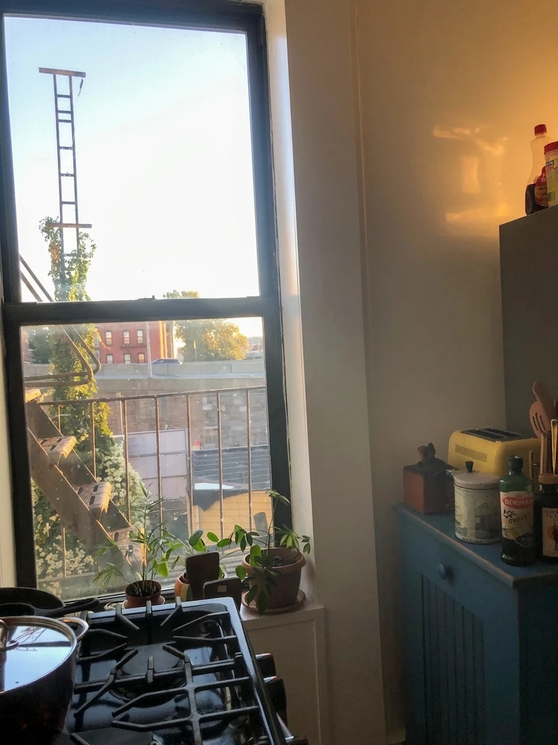 1 bedroom in Gowanus photo 9