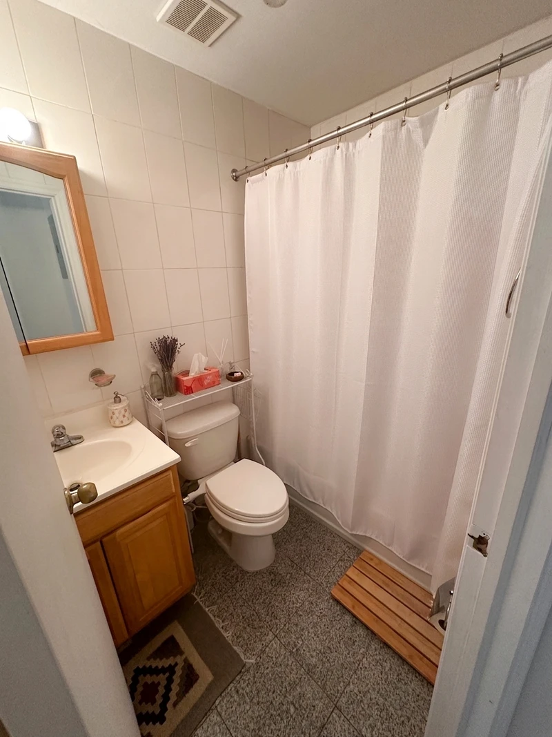 1 bedroom in Williamsburg photo 4