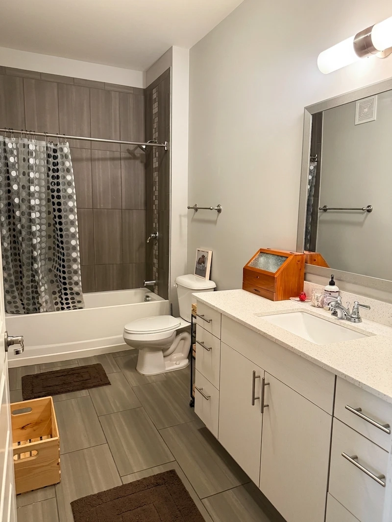 1 bedroom in Cannonborough-Elliottborough photo 10