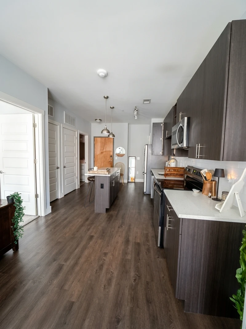 1 bedroom in Cannonborough-Elliottborough photo 5