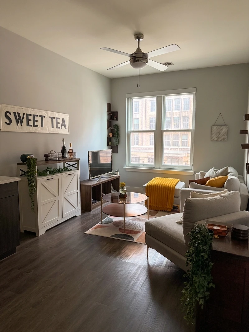 1 bedroom in Cannonborough-Elliottborough photo 6