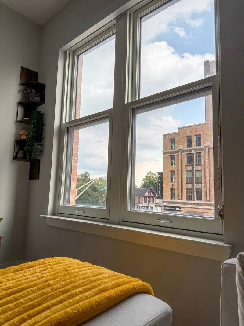 1 bedroom in Cannonborough-Elliottborough photo 7