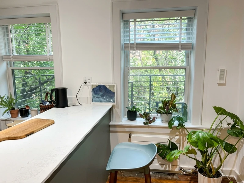 1 bedroom in Park Slope photo 2