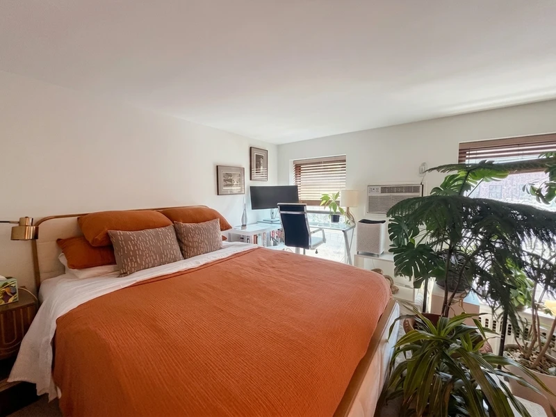 1 bedroom in Gramercy photo 5