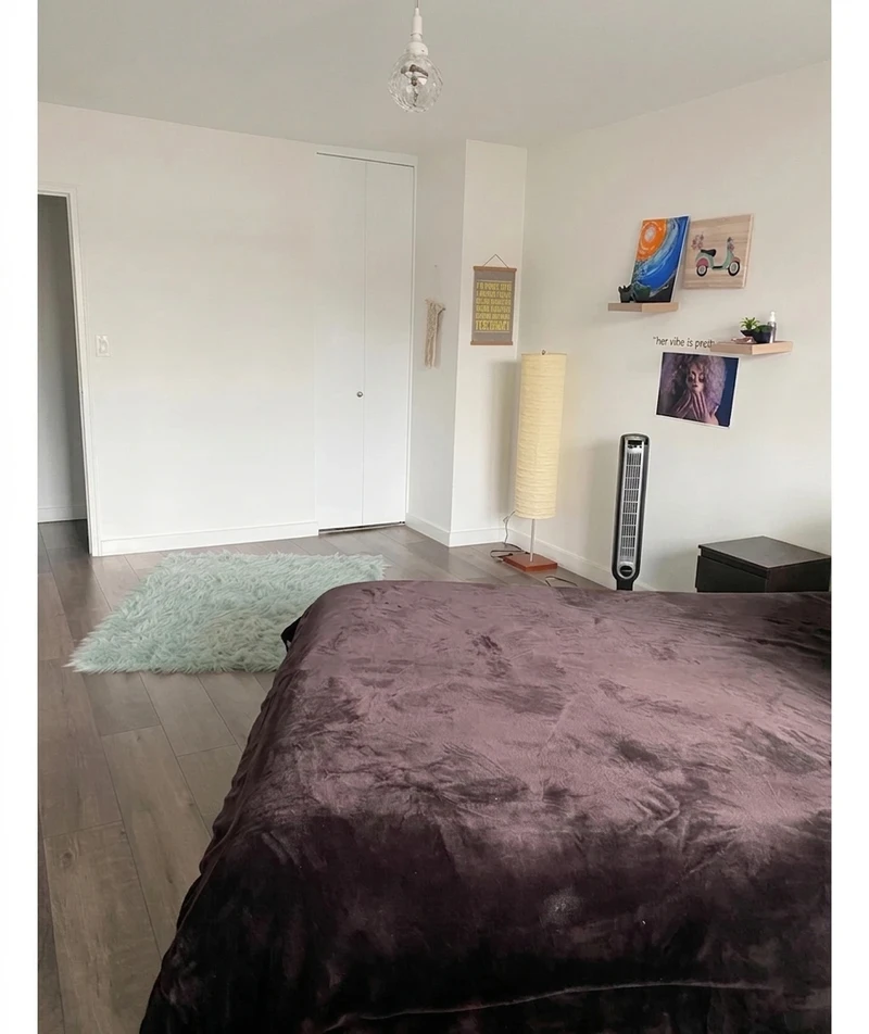 a room in Forest Hills photo 3