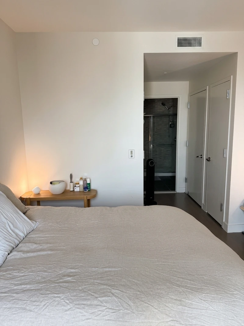1 bedroom in LIC photo 2