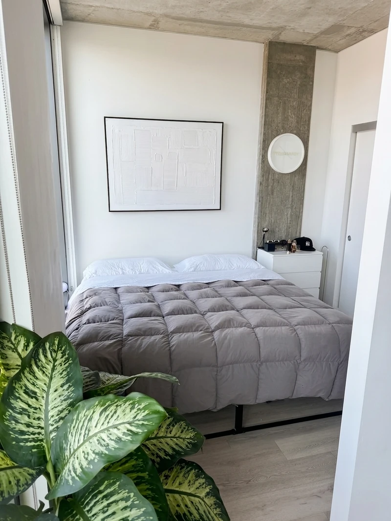 1 bedroom in Hollywood photo 4