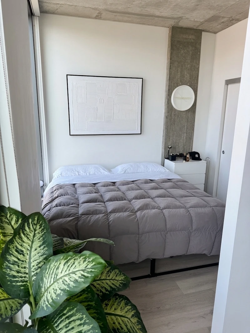 1 bedroom in Hollywood photo 4