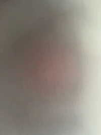 viewer