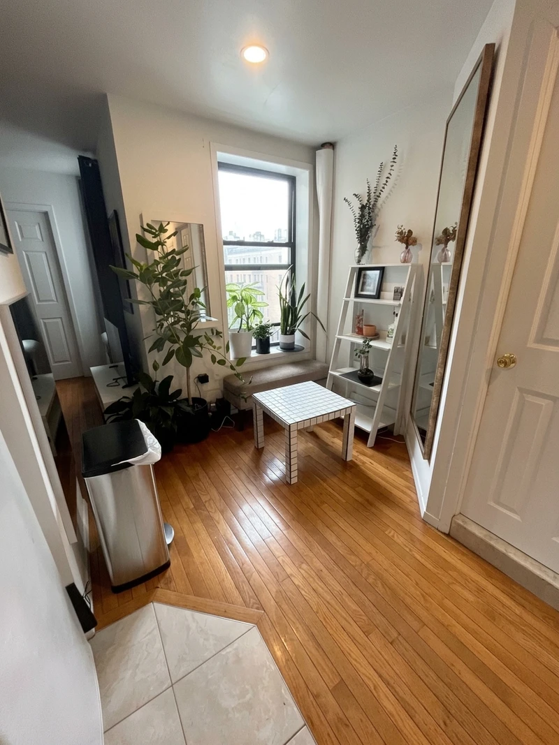 1 bedroom in Nolita photo 2