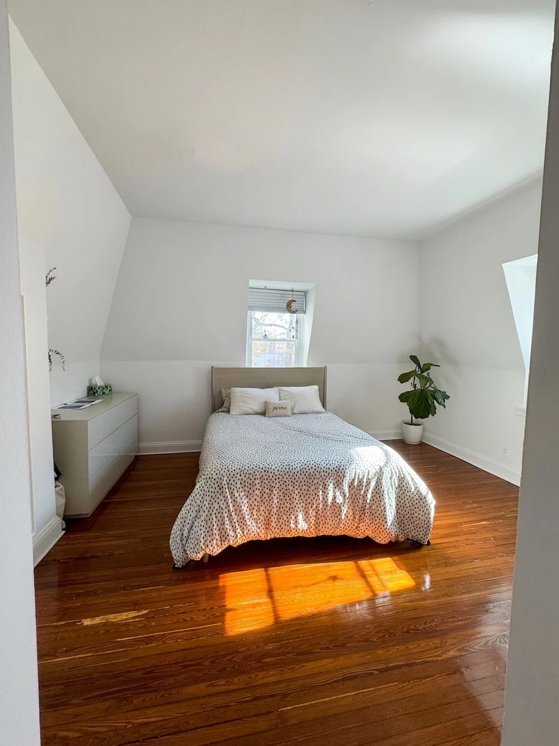 1 bedroom in Clinton Hill