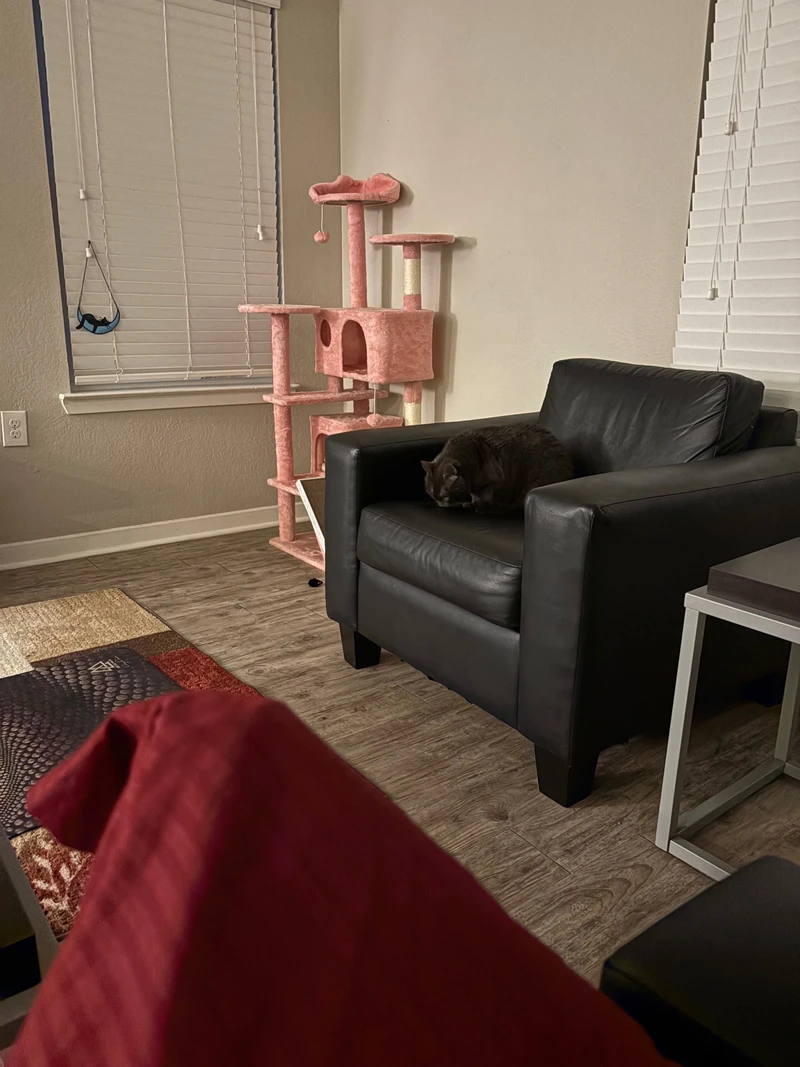 a room in Wilmington photo 6