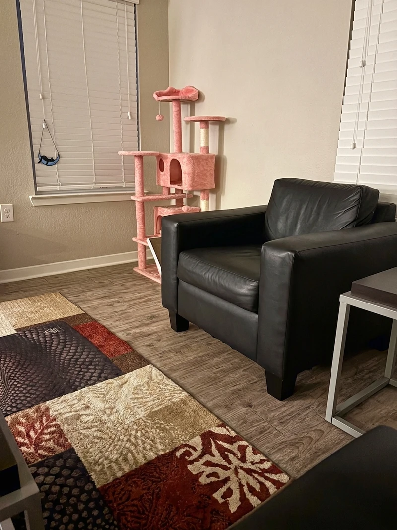 private room in Wilmington photo 6