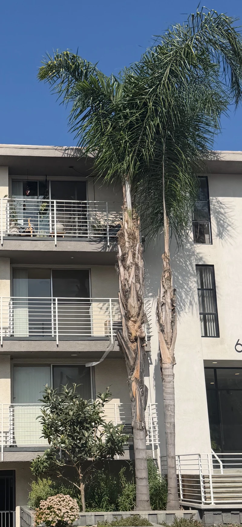 1 bedroom in Central LA photo 6