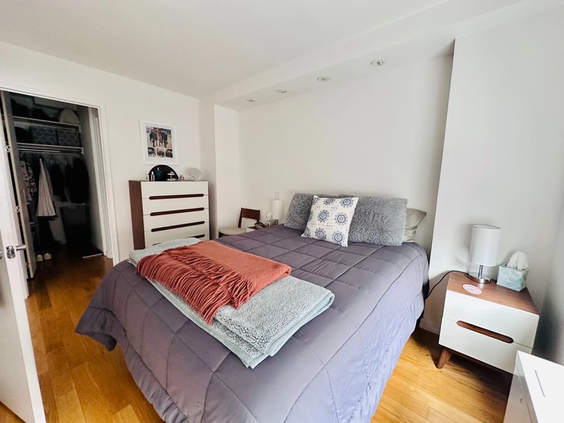 1 bedroom in Tribeca photo 2