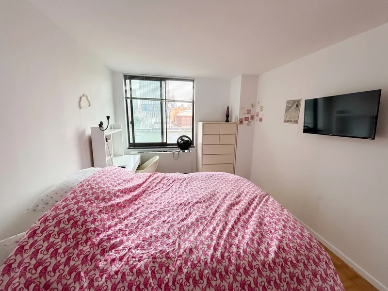 private room in Roosevelt Island photo 2