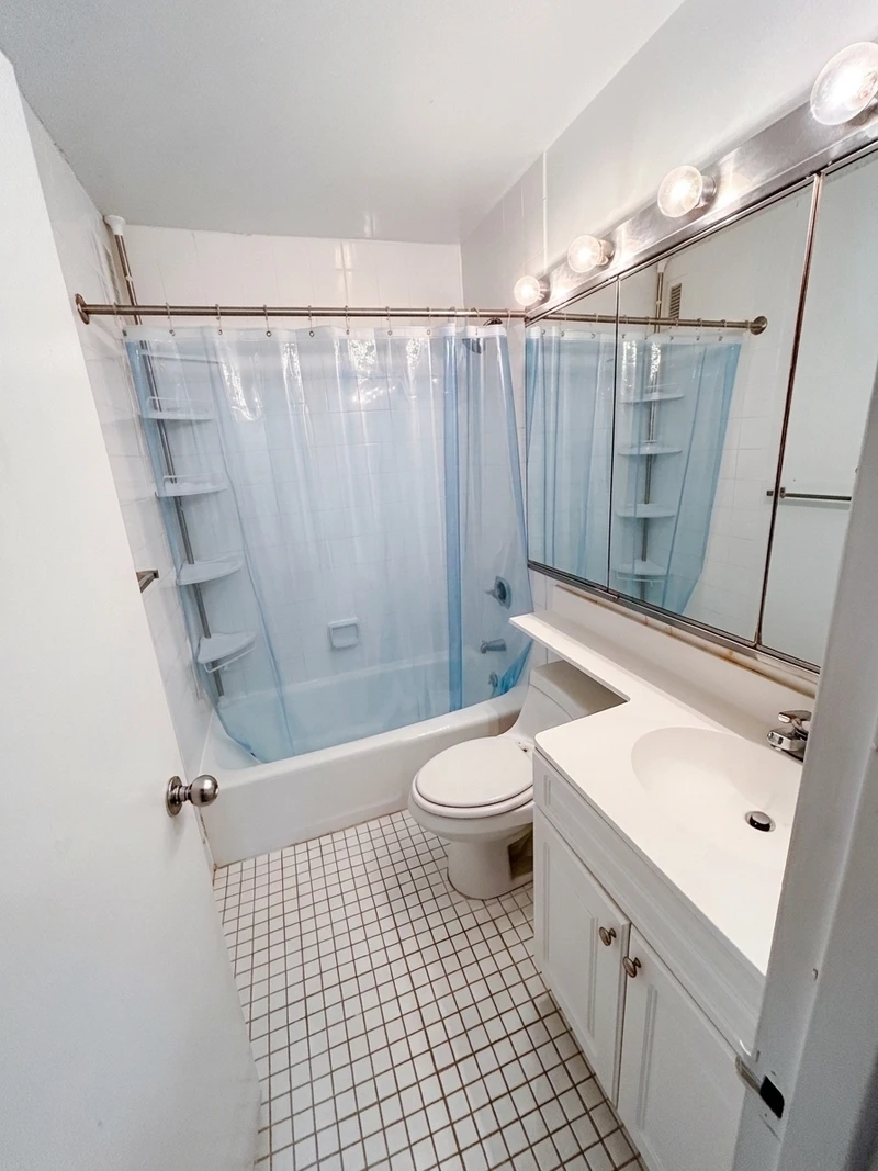 private room in Roosevelt Island photo 5