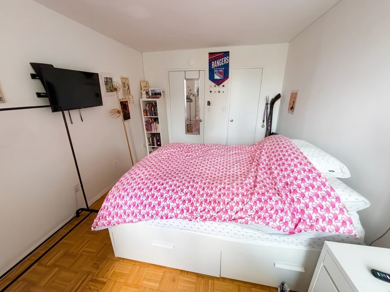 private room in Roosevelt Island photo 4