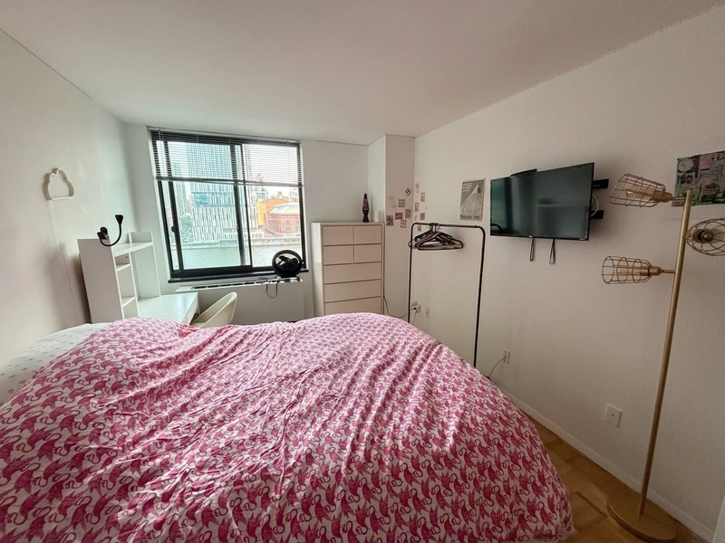 private room in Roosevelt Island photo 5