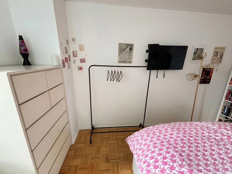 private room in Roosevelt Island photo 3
