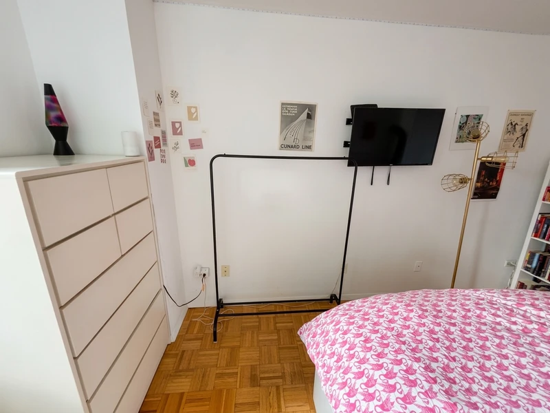 private room in Roosevelt Island photo 4