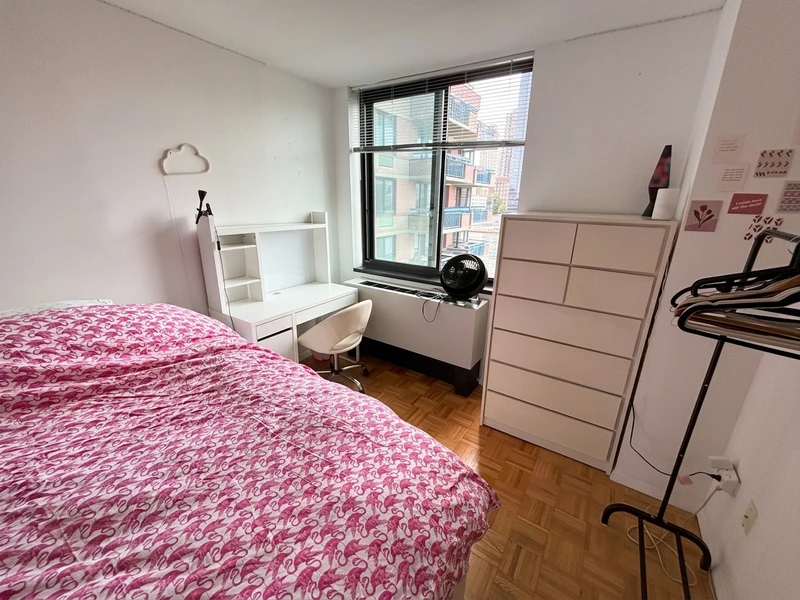 private room in Roosevelt Island photo 3