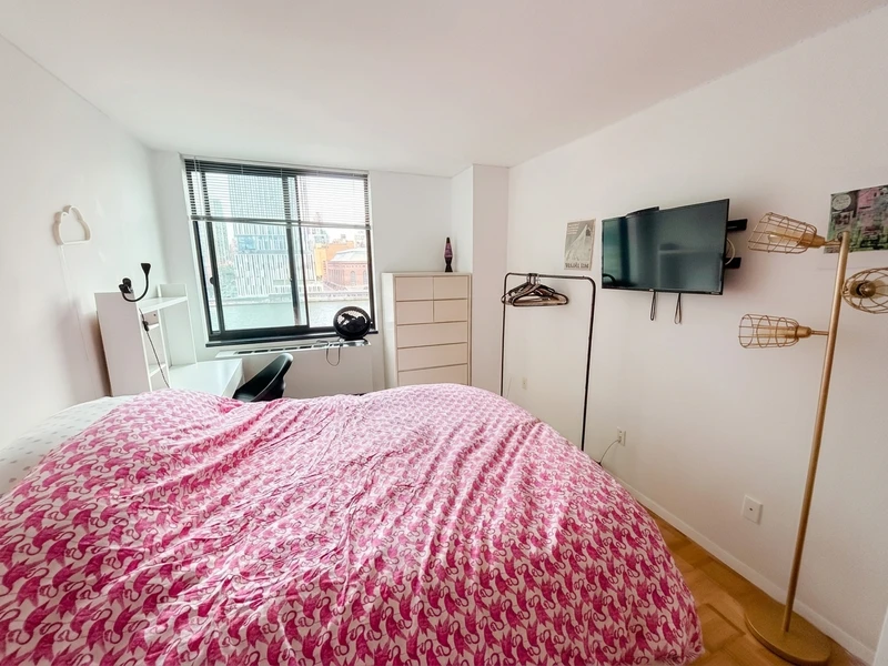 private room in Roosevelt Island photo 5