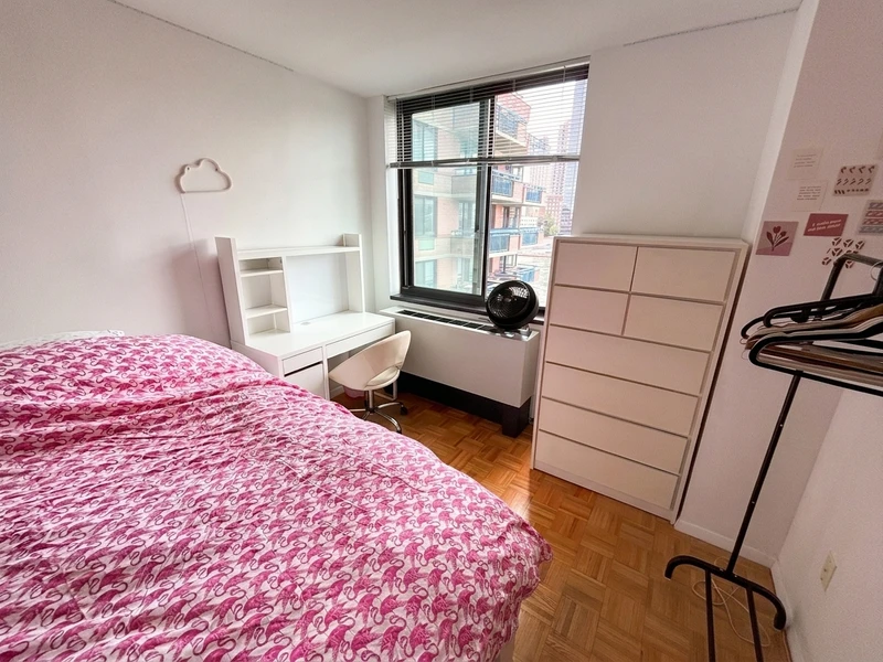 private room in Roosevelt Island photo 2