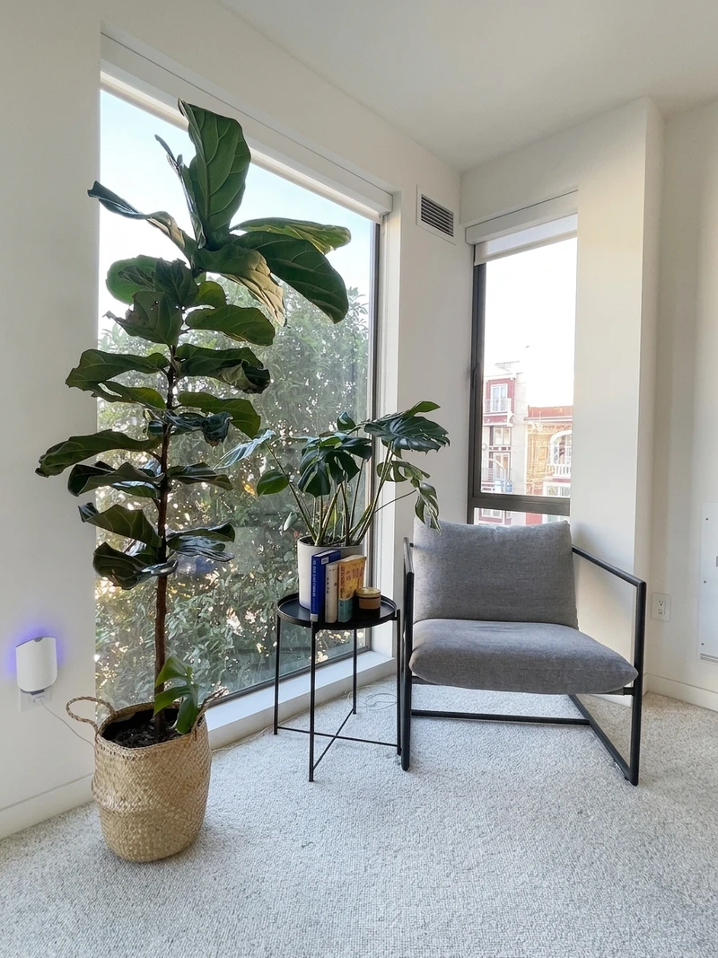 1 bedroom in Dolores Heights photo 8