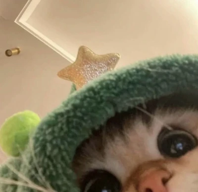 sublettor profile photo