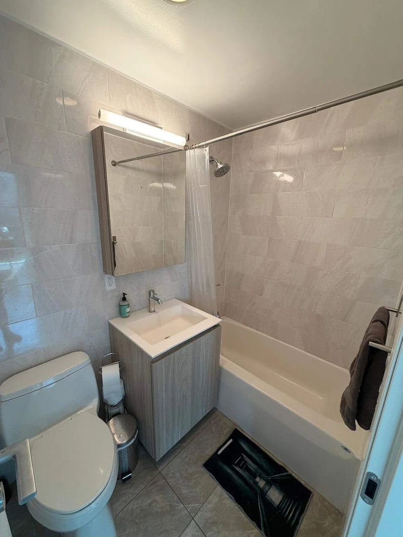1 bedroom in Lower East Side photo 8