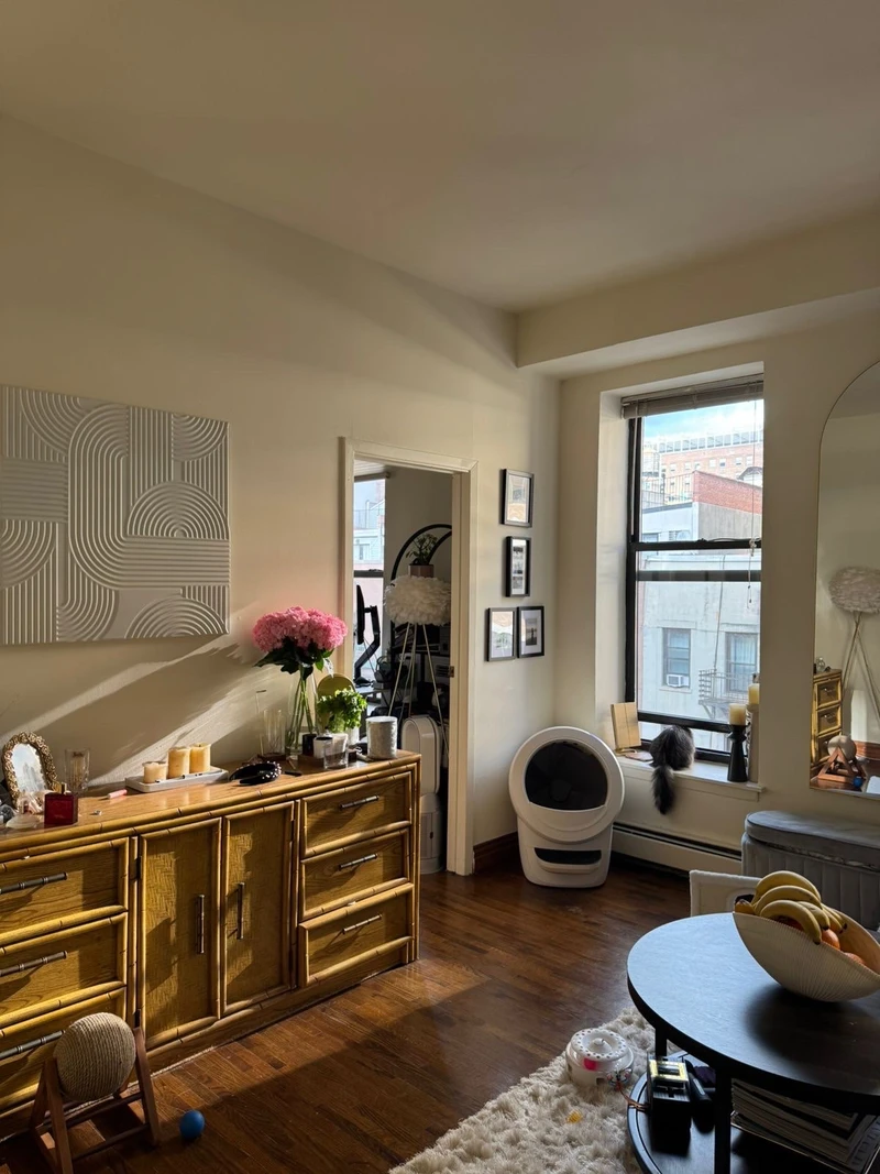 1 bedroom in Upper East Side photo 3