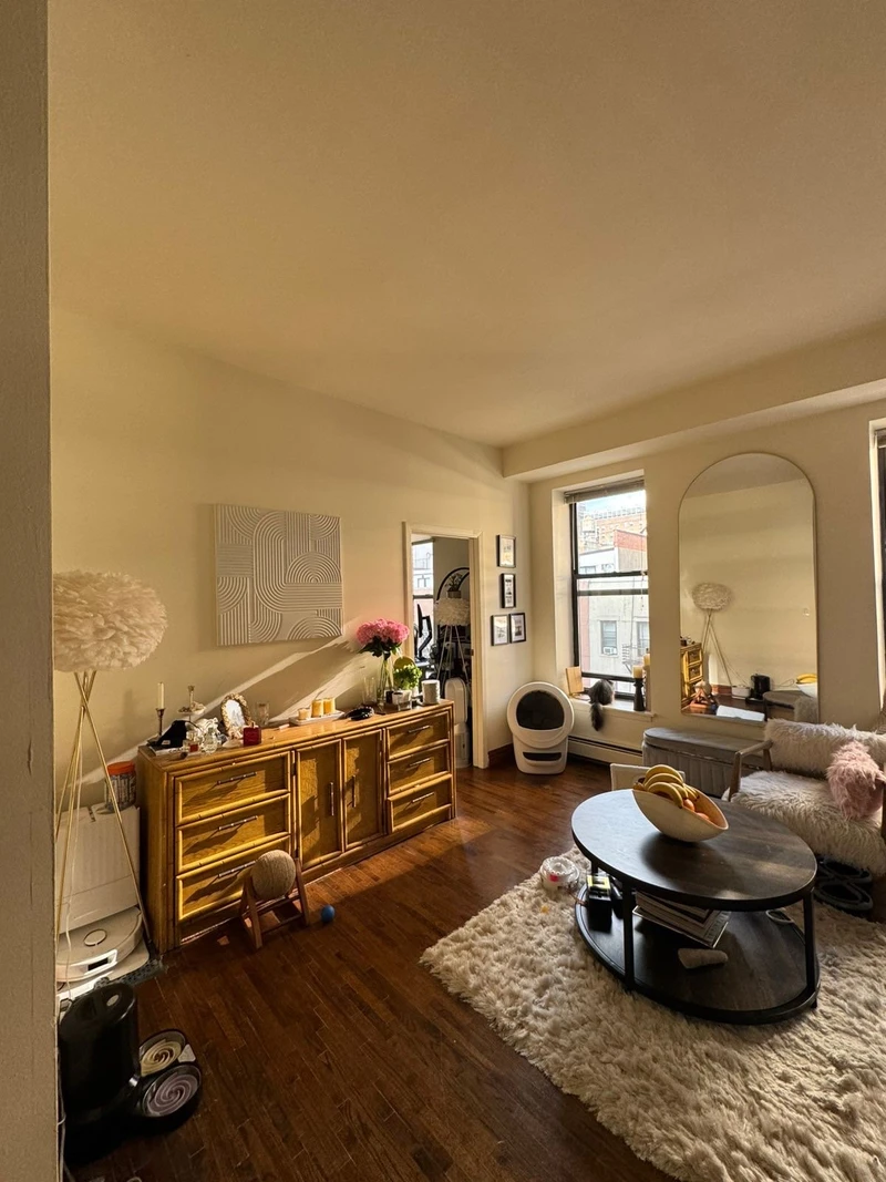 1 bedroom in Upper East Side photo 4