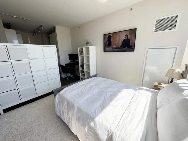 a studio in Chicago Loop photo 5
