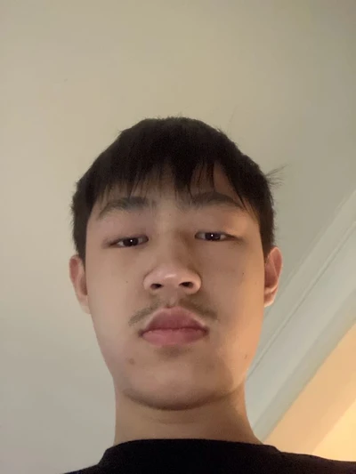 jinhong z.