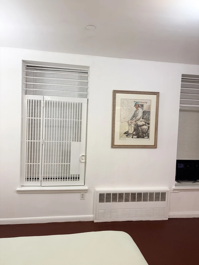 1 bedroom in Harlem photo 4