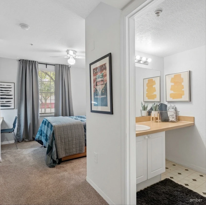 a room in Temple Terrace photo 5