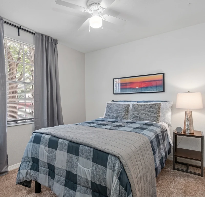 a room in Temple Terrace photo 4