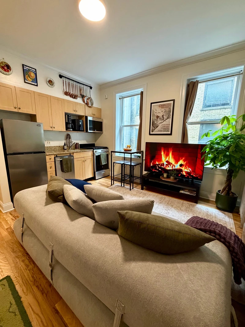 1 bedroom in Greenwich Village photo 2