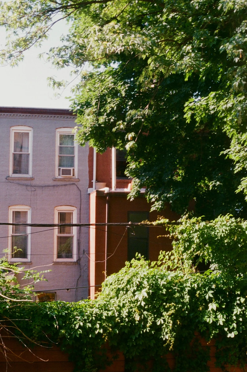 private room in Bedford-Stuyvesant photo 8