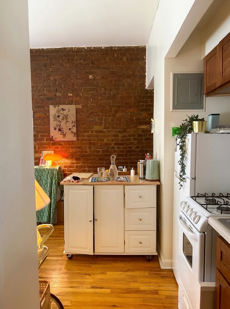 1 bedroom in East Village photo 4