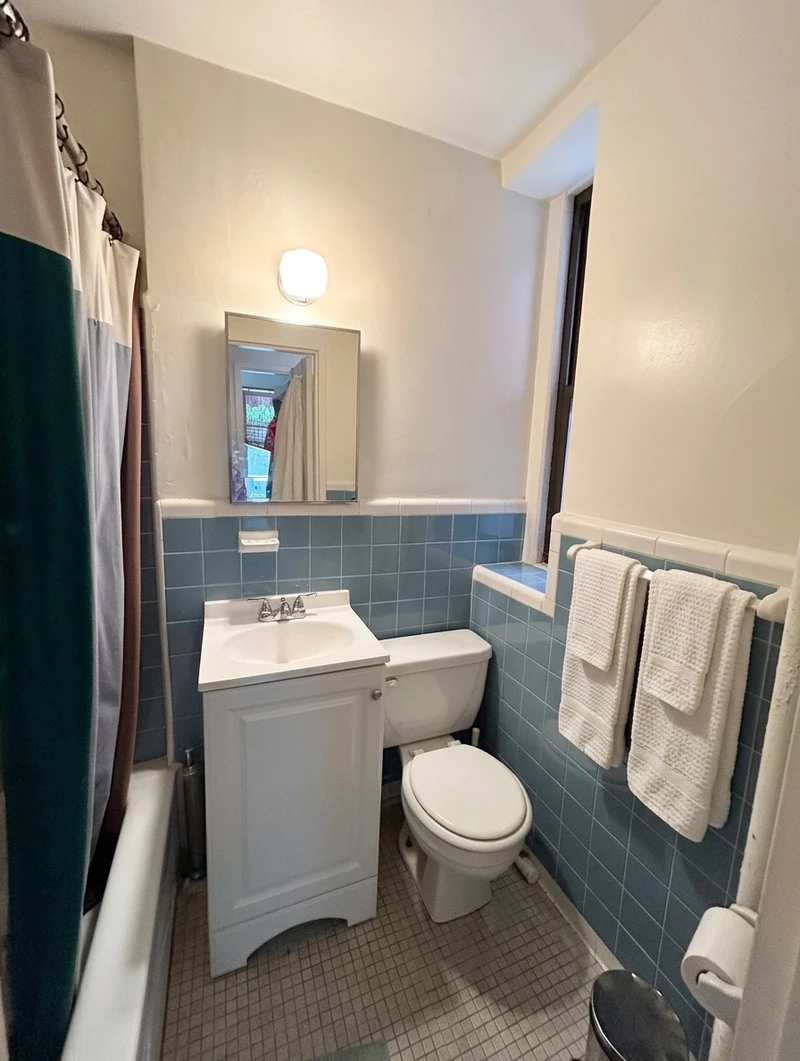 1 bedroom in East Village photo 5