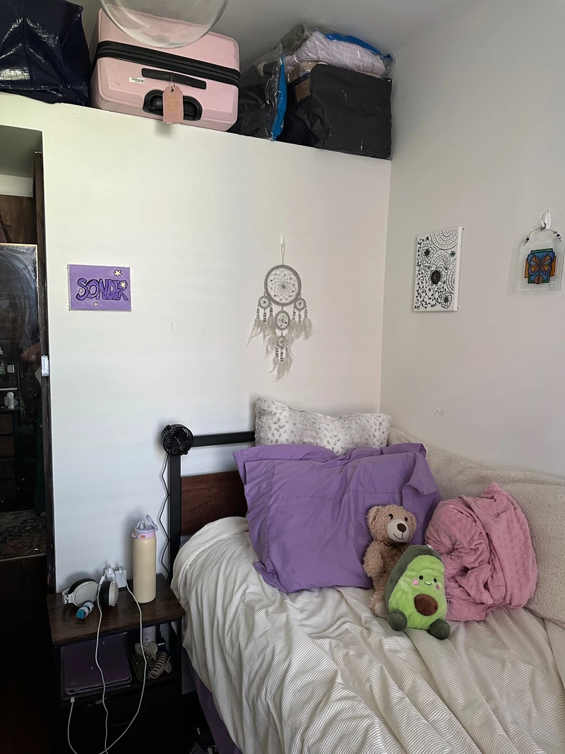 private room in East Village photo 5