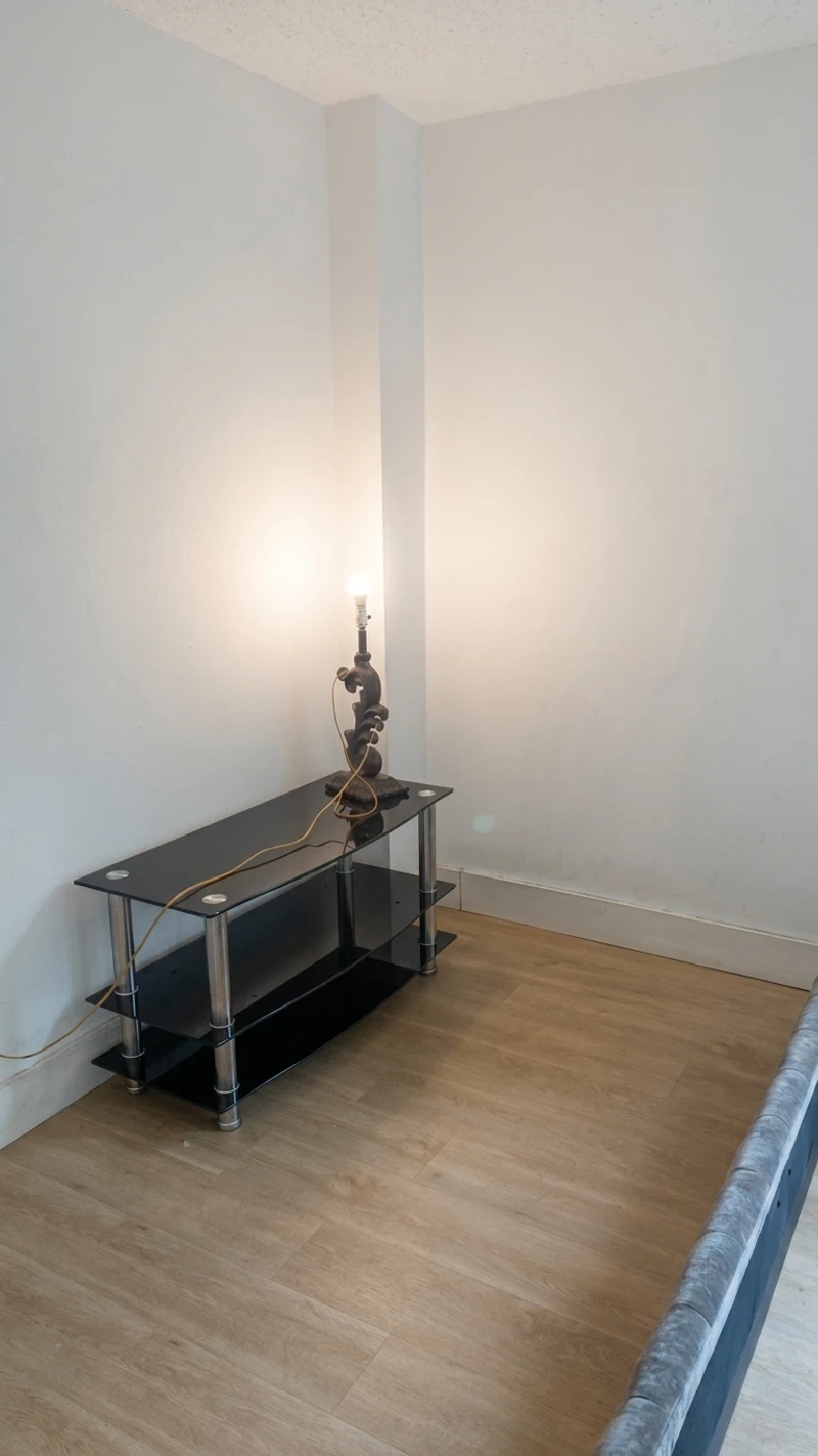 a room in Crown Heights photo 5