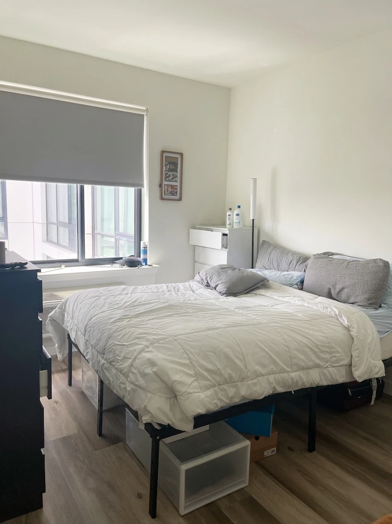 1 bedroom in McGinley Square photo 2